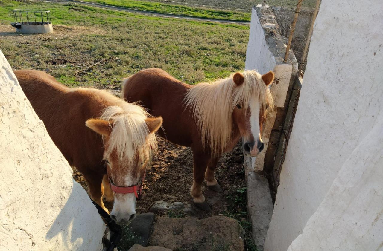 Casa Rural Bini Aumaia Es Mercadal Exteriör bild