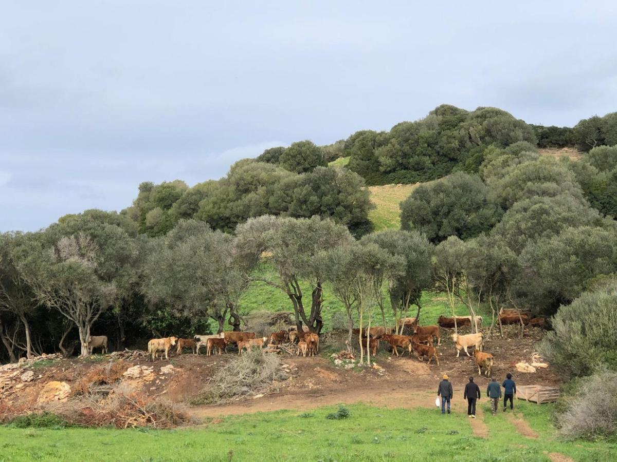 Casa Rural Bini Aumaia Es Mercadal Exteriör bild