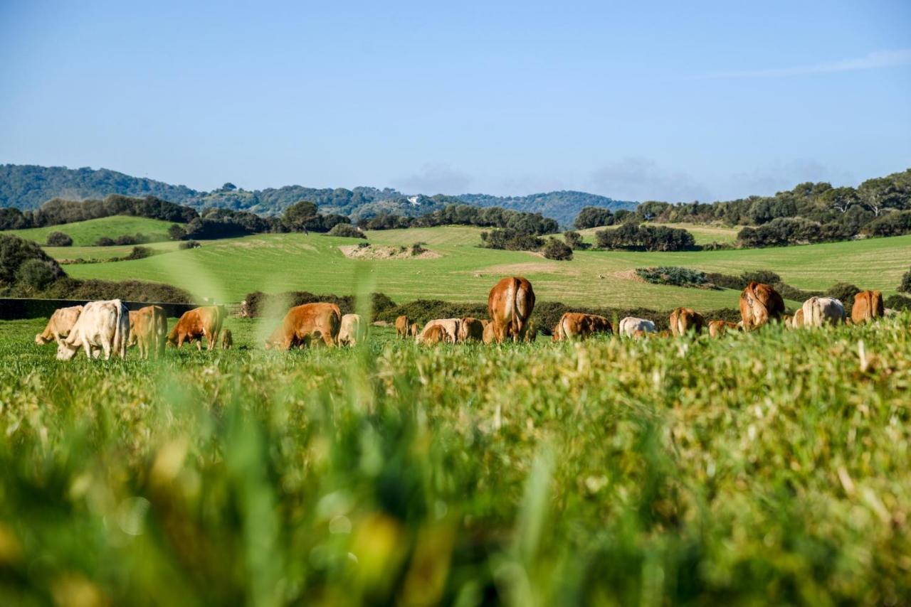Casa Rural Bini Aumaia Es Mercadal Exteriör bild