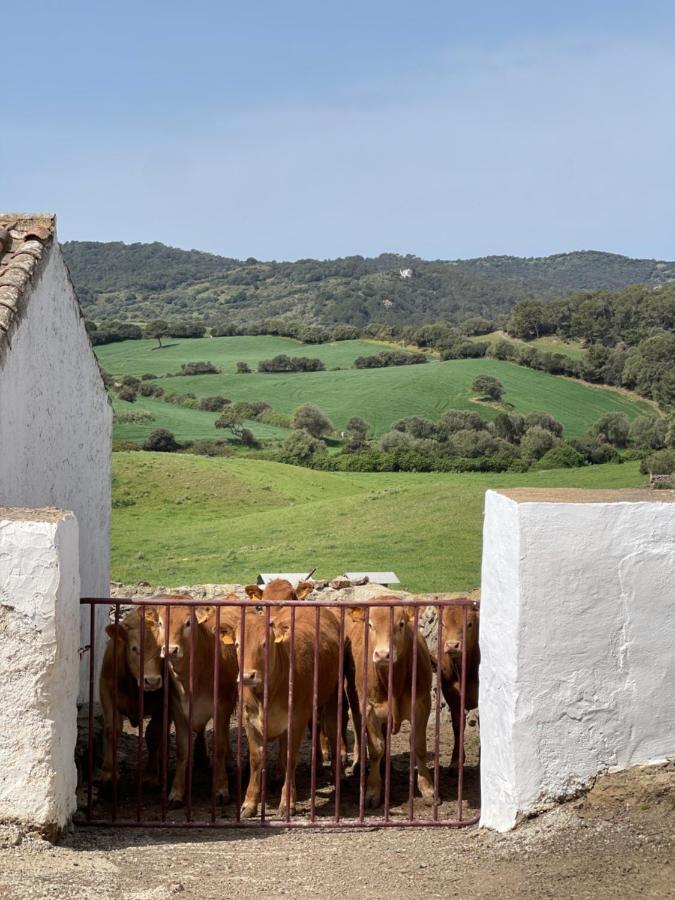 Casa Rural Bini Aumaia Es Mercadal Exteriör bild